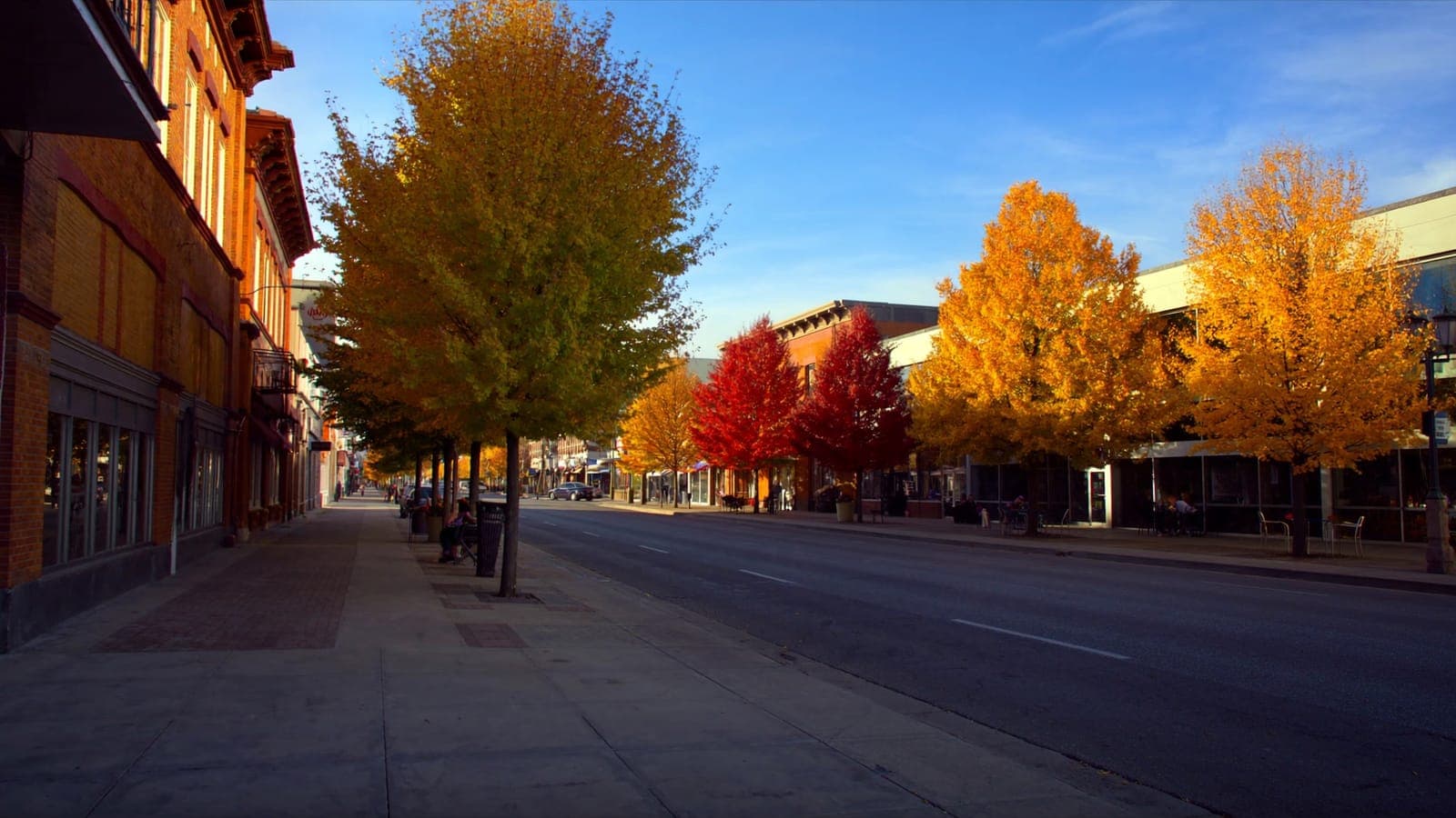 A tree-lined commercial street of brick storefronts in golden autumn sunshine